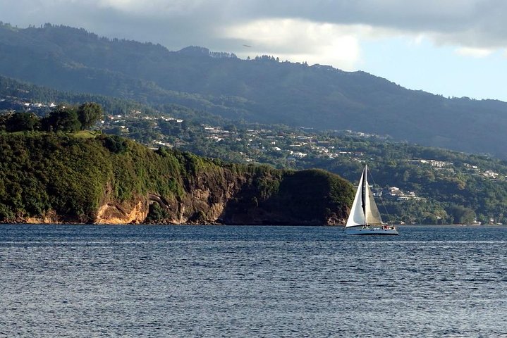 Amazing attractions of Tahiti charming island – Private half day circle tour  - Image 3