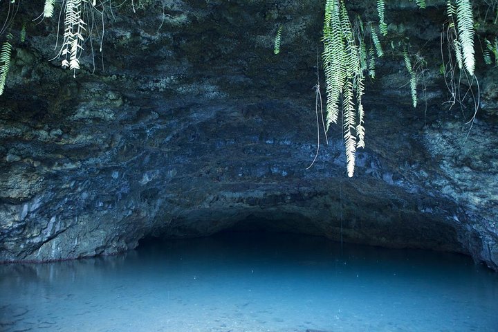Amazing attractions of Tahiti charming island – Private half day circle tour  - Image 2