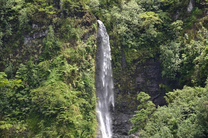 Amazing attractions of Tahiti charming island – Private half day circle tour  - Image 5
