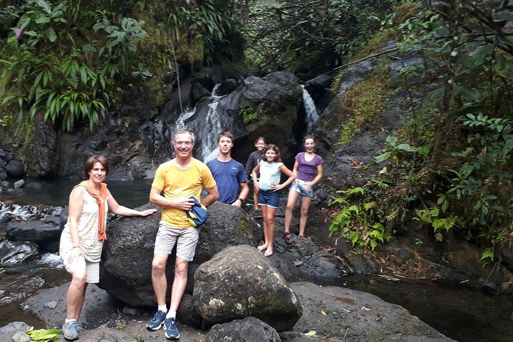 Crossing the island of TAHITI in a 4x4 safari (mountain, waterfall, river, basins) - Image 3