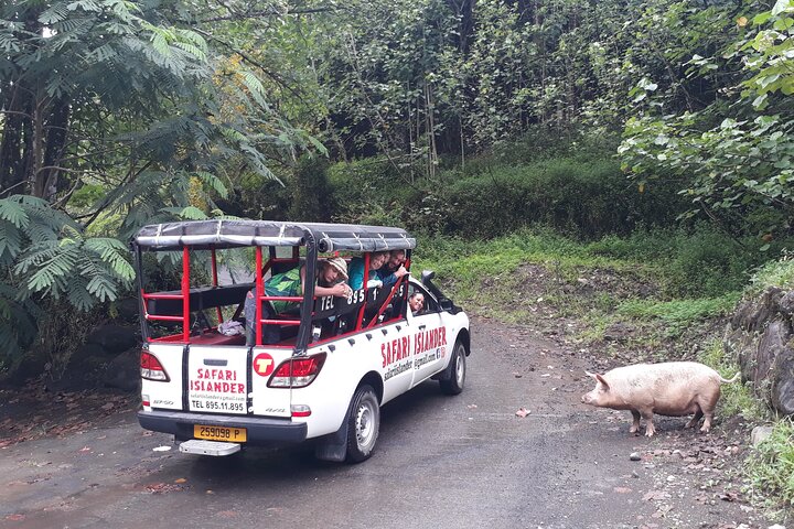 Crossing the island of TAHITI in a 4x4 safari (mountain, waterfall, river, basins) - Image 5