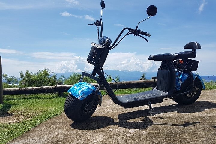 Cultural tour of Moorea in freedom - Image 5