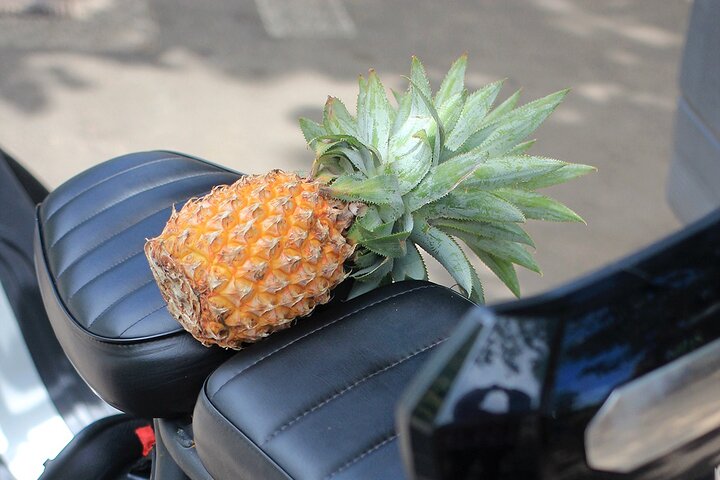 Cultural tour of Moorea in freedom - Image 2