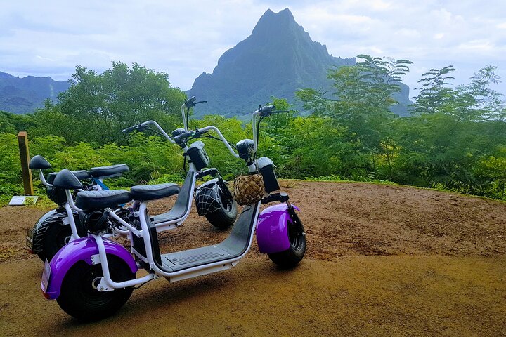 Cultural tour of Moorea in freedom - Image 3