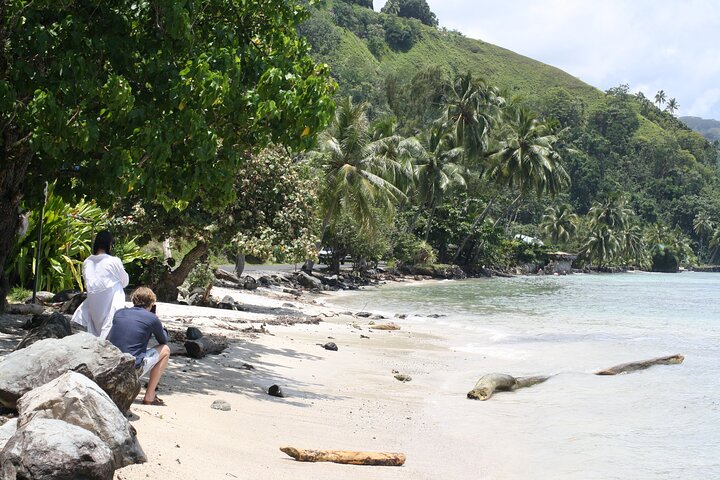 Day tour to Teahupoo along Tahitis West coast, private personalised small group - Image 4