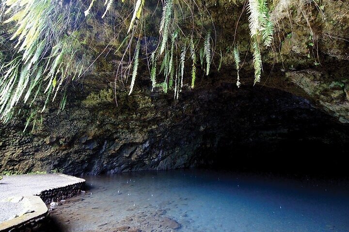 Discovery of the West Coast of Heipoerau Half Day Private - Image 1