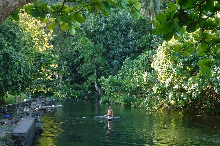 Discovery of the West Coast of Heipoerau Half Day Private - Image 3