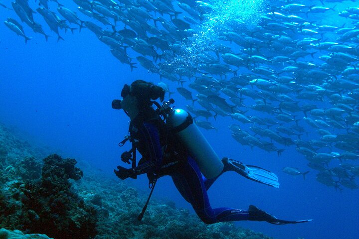 Diving day - Image 1