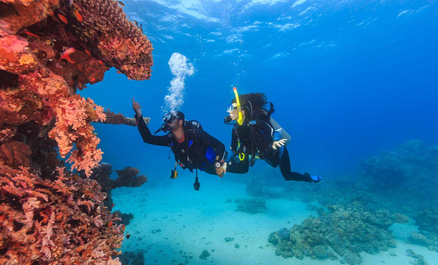 First Time Scuba Adventure - Image 1