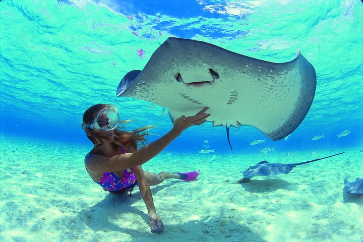 Half day Excursion, Drift Snorkeling Lagoon Adventure. 3H - Image 3