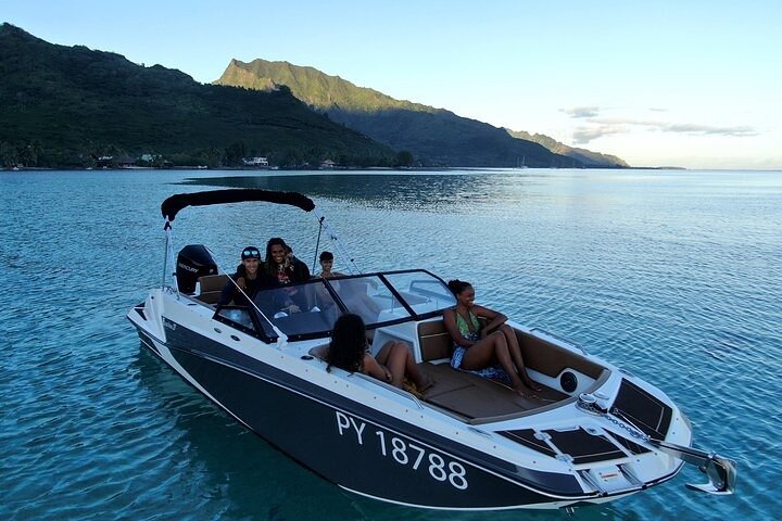 Half-Day Private Excursion: Marine Wildlife Observation and Whale Watching - Image 1