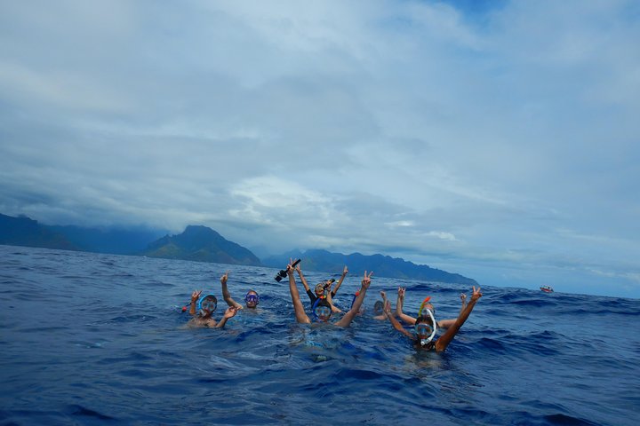 Half day whale tour 4h00 - Image 5