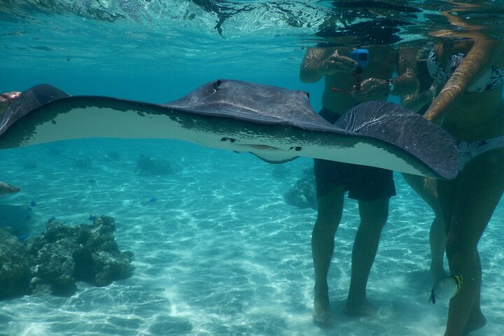Medium Combo in Moorea of 2 hours of Jetski and 2h30 of Quad - Image 2