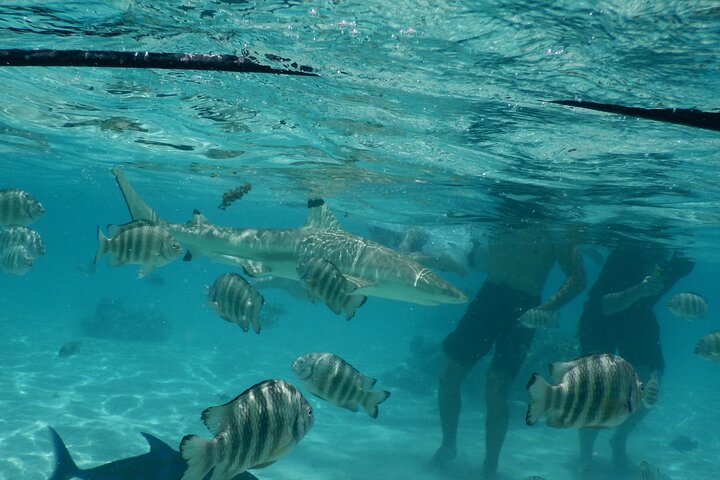 Medium Magical Combo in Moorea of 2 hours of Jetski and 3h30 of Quad - Image 4