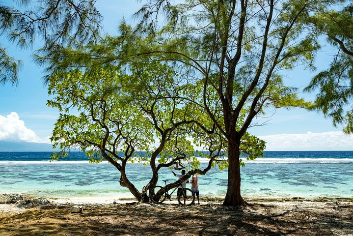 Moorea Highlights Private Tour: Natural and Cultural Attraction - Image 1