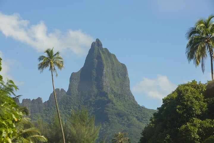 Moorea Highlights Private Tour: Natural and Cultural Attraction - Image 3