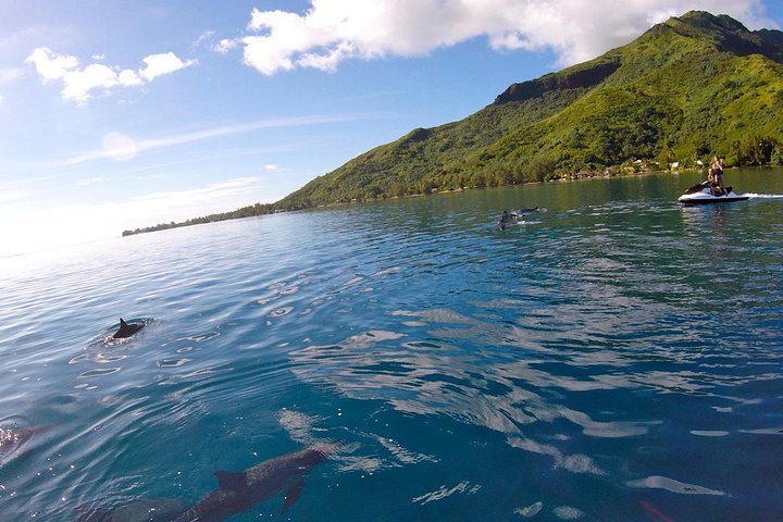 Moorea Solo or Twin 3 hours Jet Ski Tour - Image 5