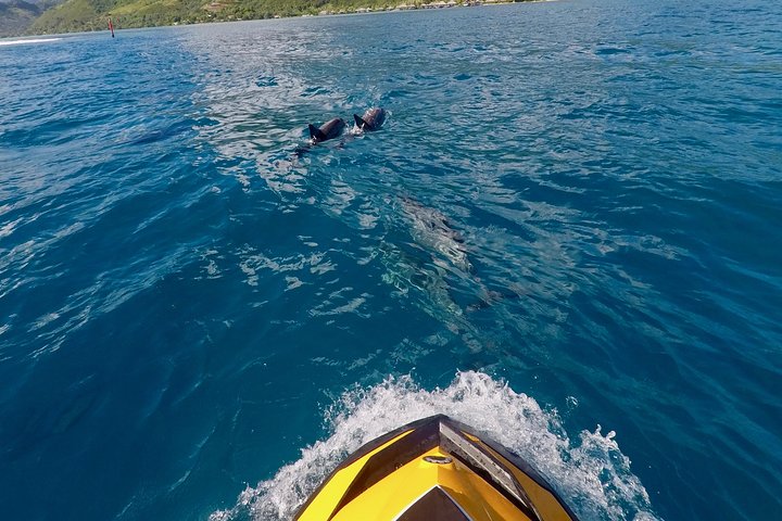 Moorea Solo or Twin 3 hours Jet Ski Tour - Image 3