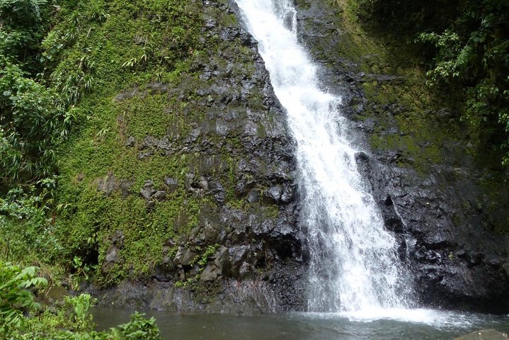 Private Day Tour of the Island and Peninsula of Tahiti - Image 5