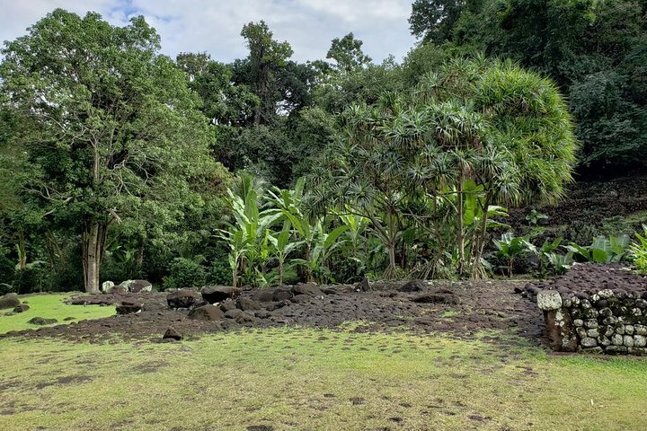 Private full day tour around Tahiti: the island's nature wonders  - Image 2