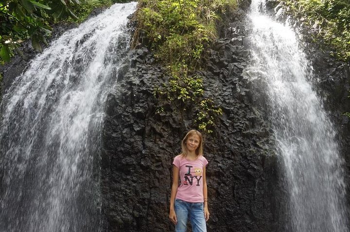 Private full day tour around Tahiti: the island's nature wonders  - Image 5