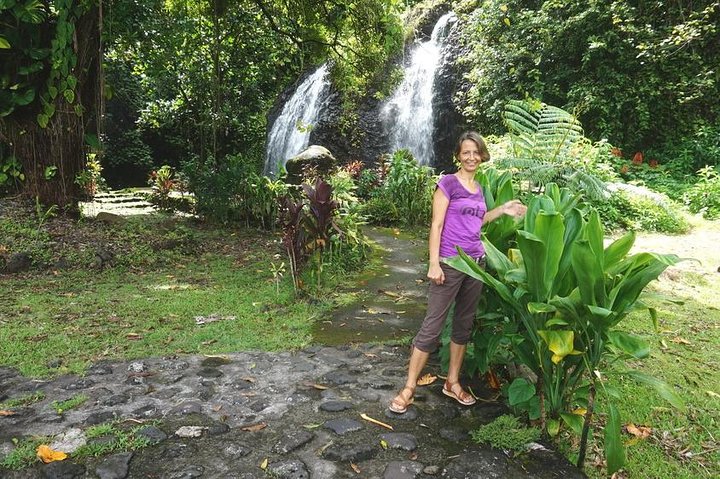 Private full day tour around Tahiti: the island's nature wonders  - Image 4