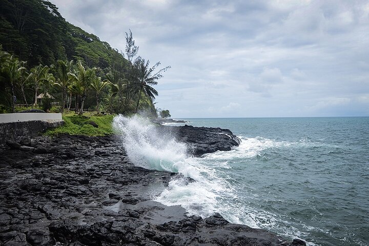 Private Half-Day Tour of Tahiti East Coast or West Coast - Image 3