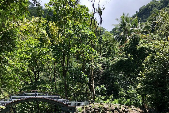 Private Half-Day Tour of Tahiti East Coast or West Coast - Image 5