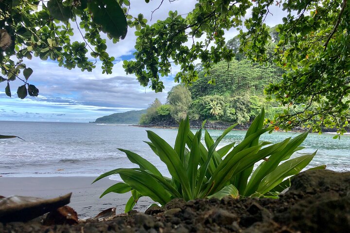 Private Half-Day Tour of Tahiti East Coast or West Coast - Image 1