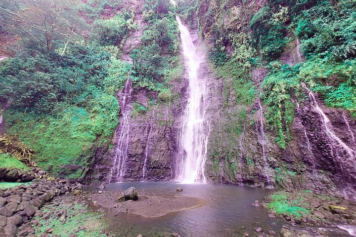 Private Half Day Tour: Papeete and Nature of Tahiti east coast - Image 3