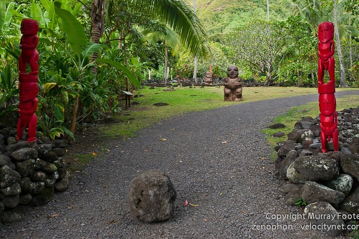 Private Island Tour - Image 3