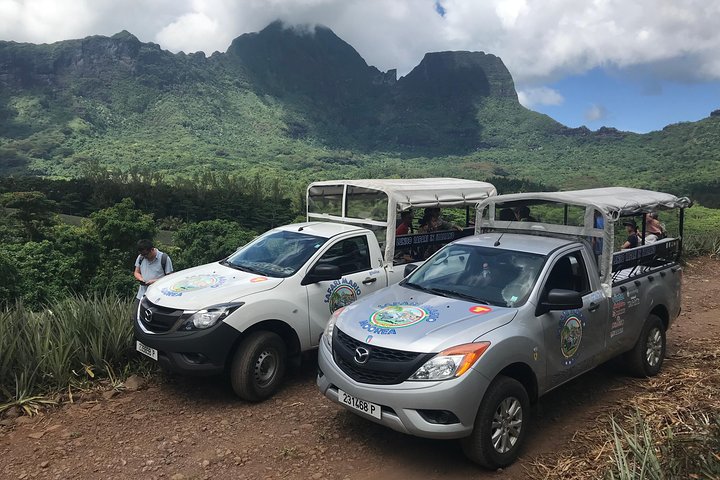 Private Morning Moorea 4WD Tour with Champagne - Image 5