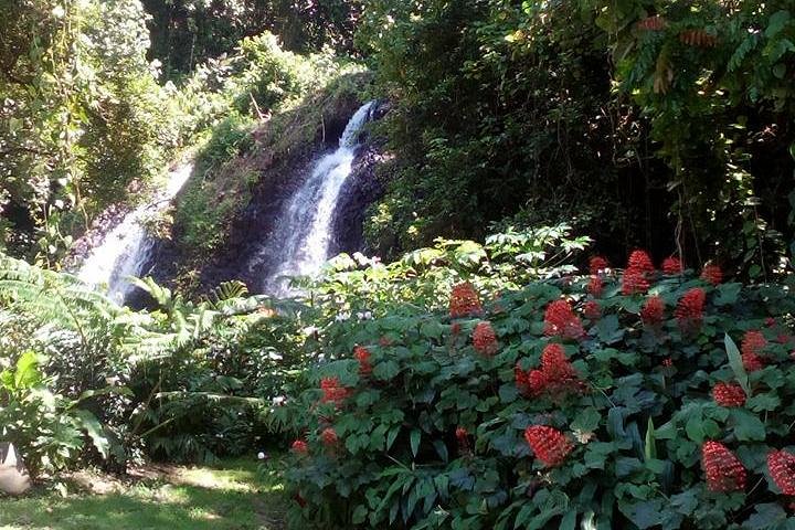 private Tahiti island discovery - Image 3