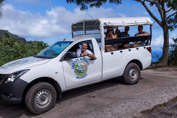 Private Tour Moorea 4WD - Belvedere Pineapple Farm, Magic Mount. - Image 1