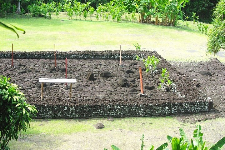 Tahiti island Tours  - Image 3