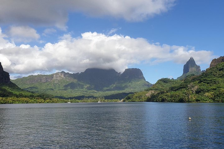 Unforgettable lagoon tour around Moorea - Image 2