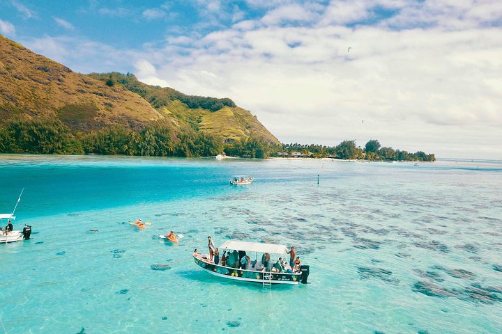 Unforgettable lagoon tour around Moorea - Image 1