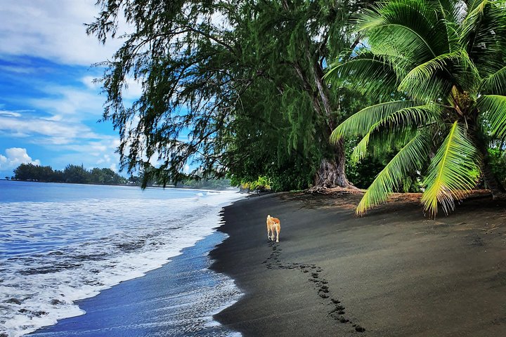 Unique Tahiti Tour - private, personalised, small group, east coast tour - Image 4