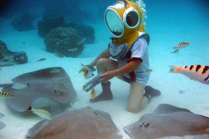 Walking Under the Sea in Moorea - Image 5