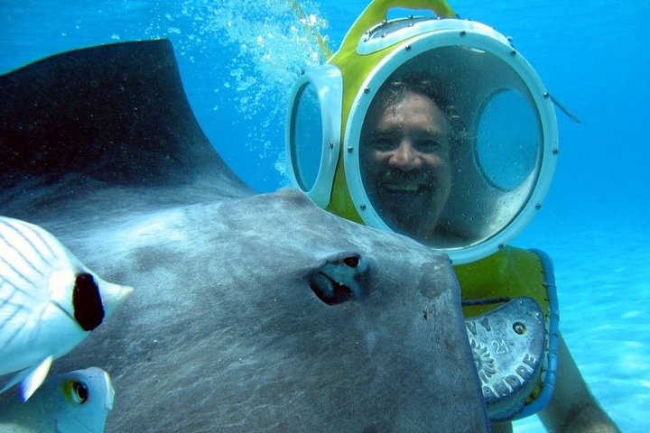 Walking Under the Sea in Moorea - Image 2