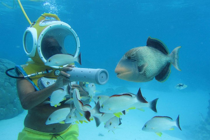 Walking Under the Sea in Moorea - Image 3