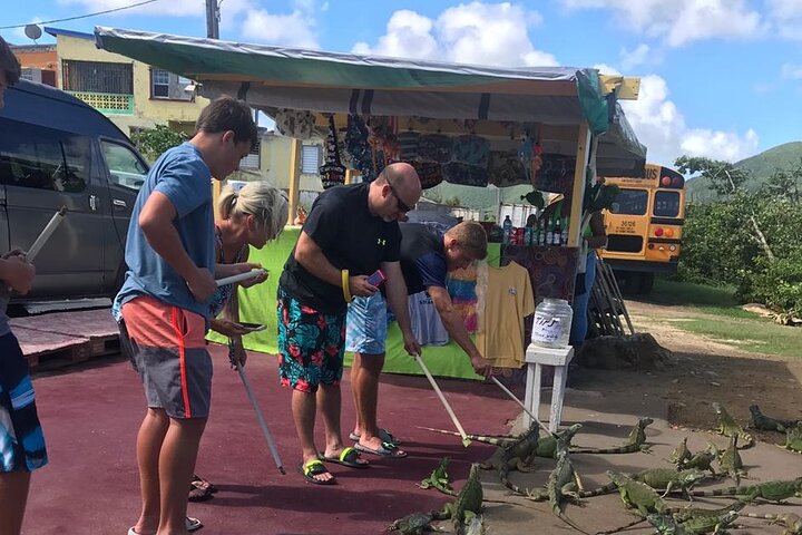FUN DAY St.Maarten Island Sightseeing Tour with Beach - Image 2