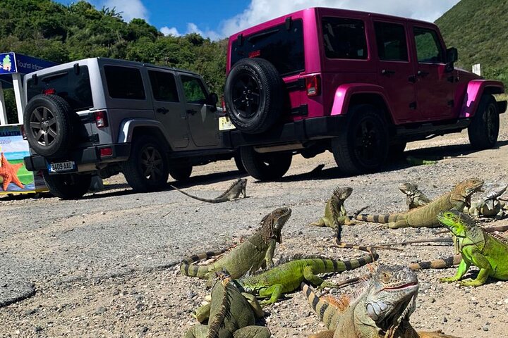 Guided Jeep Tour Exploring French and Dutch St Maarten - Image 4