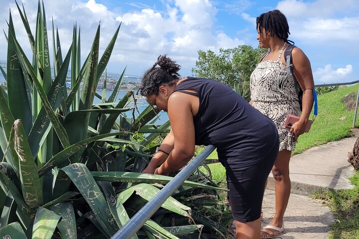 Private Cultural Magical Tour in St Martin - Image 3