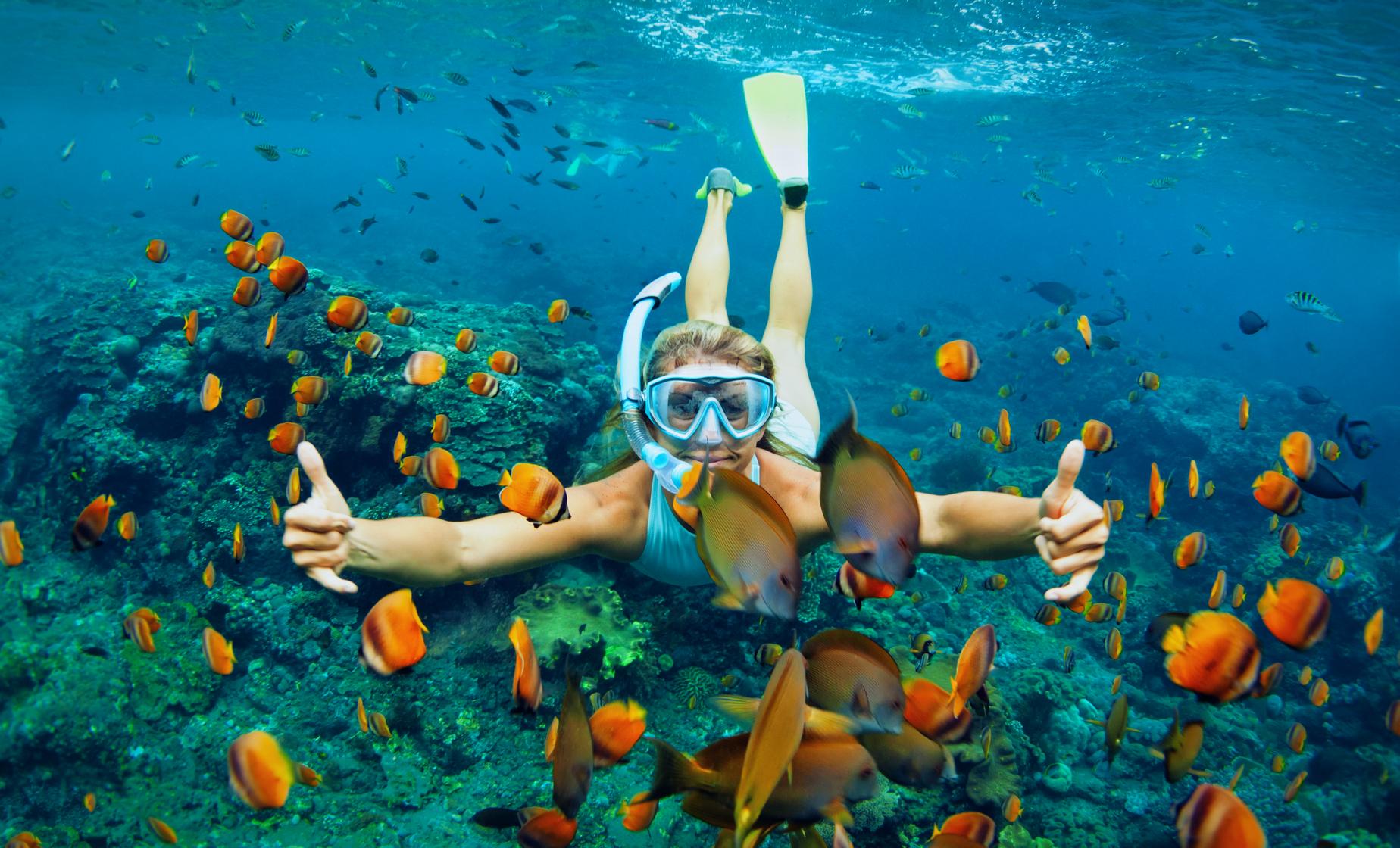 Snorkel and Beach Adventure - Image 1