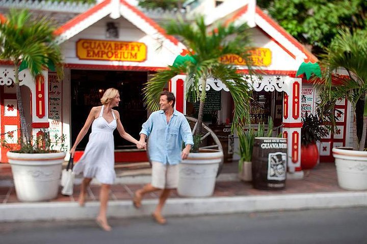St. Maarten Best Island Tour - Image 3
