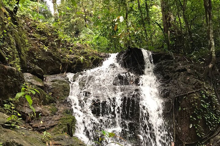 4 Waters Eco Adventure from Phuket Including Lunch - Image 3