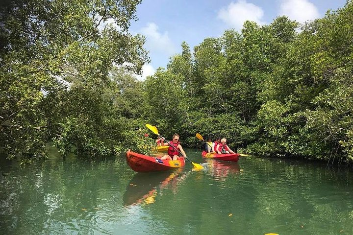 4-Waters Eco-Adventure Trip from Phuket Including Lunch - Image 2