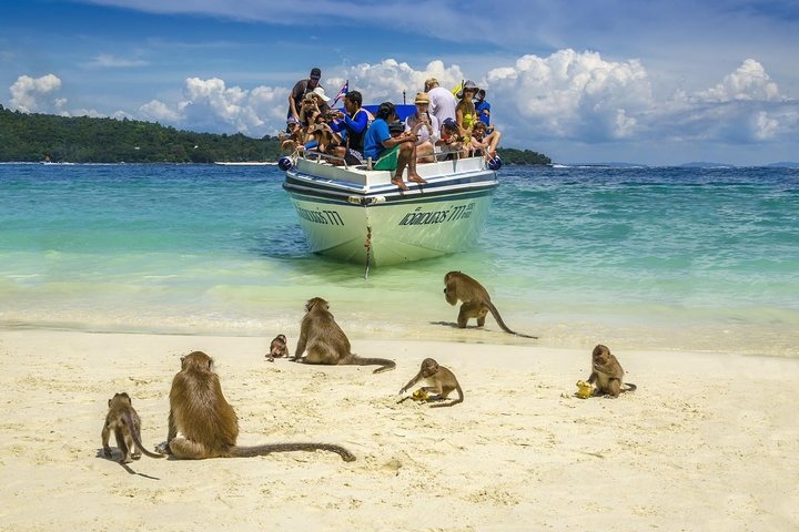 Amazing Phi Phi Island & Maya Beach and Snorkeling Day Trip with Lunch - Image 3