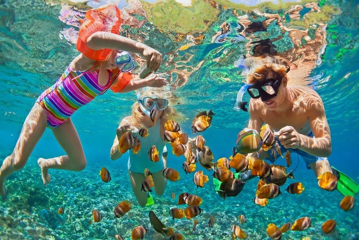 From Phuket: Surin Island Snorkeling Tour - Image 1
